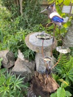 h. Kingfisher cup root.jpg